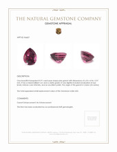 0.91 Ct. Garnet from Ceylon (Sri Lanka) Appraisal