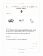 6.30 Ct. Beryl from Ceylon (Sri Lanka) Appraisal