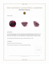 2.39 Ct. Garnet from Ceylon (Sri Lanka) Appraisal
