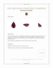 3.75 Ct. Rubellite Tourmaline from Brazil Appraisal