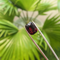 9.35 Ct. Garnet from Madagascar Life Style
