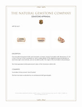 0.88 Ct. Tourmaline from Mozambique Appraisal