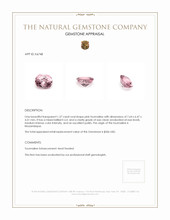 1.37 Ct. Tourmaline from Mozambique Appraisal