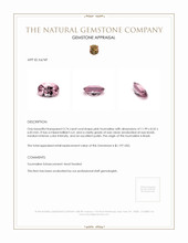 3.74 Ct. Tourmaline from Brazil Appraisal