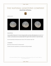 6.73 Ct. Cabochon Moonstone from Ceylon (Sri Lanka) Appraisal