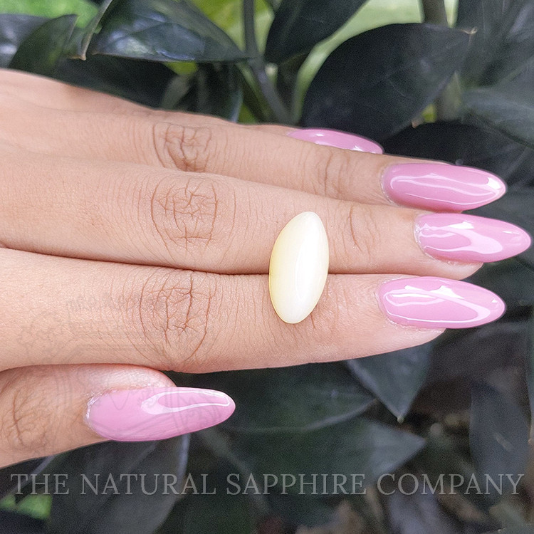 11.01 Ct. Cabochon Moonstone from Ceylon (Sri Lanka)