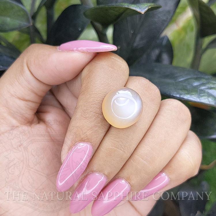 16.85 Ct. Cabochon Moonstone from Ceylon (Sri Lanka)