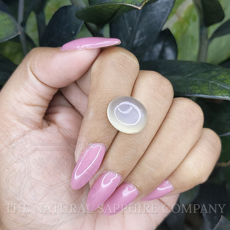 10.74 Ct. Cabochon Moonstone from Ceylon (Sri Lanka)