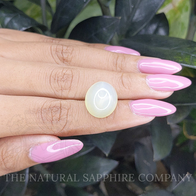 12.02 Ct. Cabochon Moonstone from Ceylon (Sri Lanka)