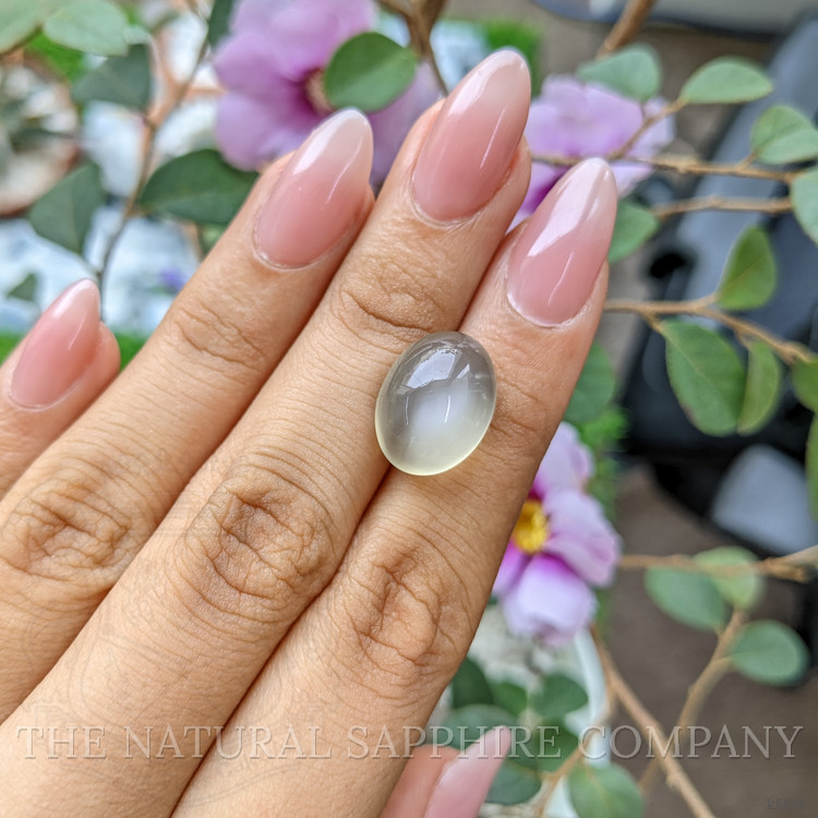 13.29 Ct. Cabochon Moonstone from Ceylon (Sri Lanka)