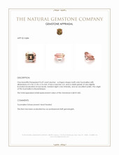 0.69 Ct. Tourmaline from Mozambique Appraisal