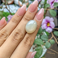 18.10 Ct. Cabochon Moonstone from Ceylon (Sri Lanka) Life Style