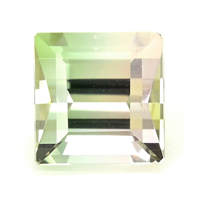 0.83 Ct. Tourmaline from Mozambique Video