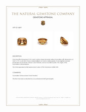 3.65 Ct. Tourmaline from Mozambique Appraisal