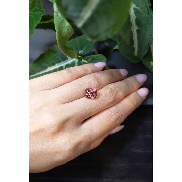 3.79 Ct. Tourmaline from Mozambique