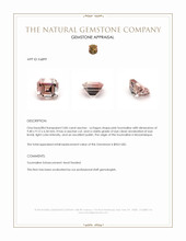 3.85 Ct. Tourmaline from Mozambique Appraisal