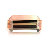 0.91 Ct. Tourmaline from Mozambique Video