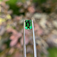 1.04 Ct. Tsavorite Garnet from Tanzania Life Style