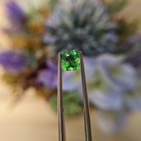 1.22 Ct. Tsavorite Garnet from Tanzania Life Style