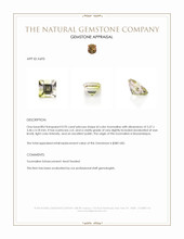 0.95 Ct. Tourmaline from Mozambique Appraisal