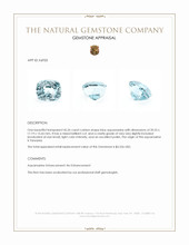 45.26 Ct. Aquamarine from Tanzania Appraisal