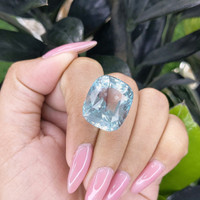 45.26 Ct. Aquamarine from Tanzania Life Style