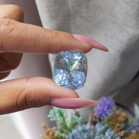 45.26 Ct. Aquamarine from Tanzania Life Style