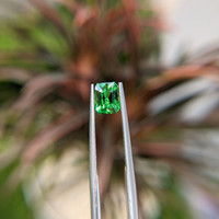1.10 Ct. Tsavorite Garnet from Tanzania Life Style