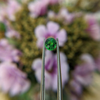 1.04 Ct. Tsavorite Garnet from Tanzania Life Style
