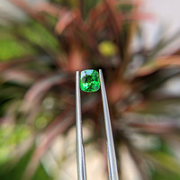 0.96 Ct. Tsavorite Garnet from Tanzania Life Style