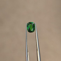 1.00 Ct. Tsavorite Garnet from Tanzania Life Style