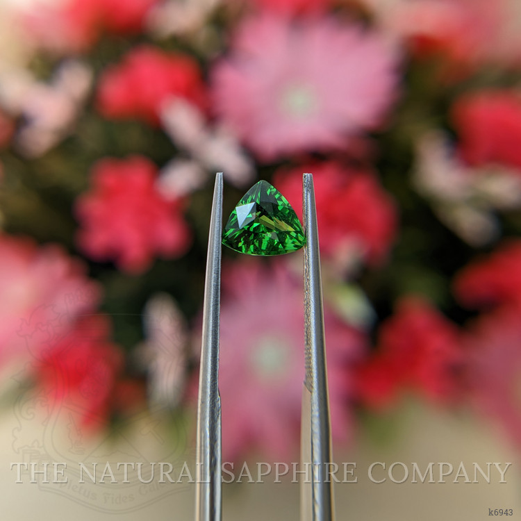 1.05 Ct. Tsavorite Garnet from Tanzania