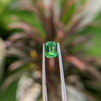 1.04 Ct. Tsavorite Garnet from Tanzania Life Style