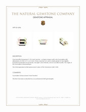 1.03 Ct. Tourmaline from Mozambique Appraisal