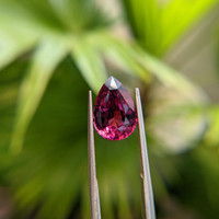 5.12 Ct. Garnet from Ceylon (Sri Lanka) Life Style