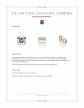 1.03 Ct. Tourmaline from Mozambique Appraisal