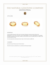 4.88 Ct. Hessonite Garnet from India Appraisal