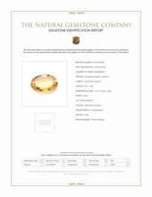 4.88 Ct. Hessonite Garnet from India Scan Report