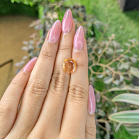 4.22 Ct. Hessonite Garnet from India Life Style