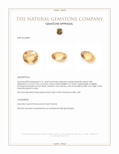 4.31 Ct. Hessonite Garnet from India Appraisal