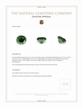 4.10 Ct. Tourmaline from Mozambique Appraisal