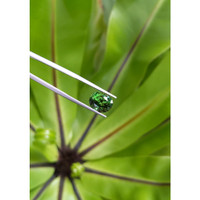 4.10 Ct. Tourmaline from Mozambique Life Style