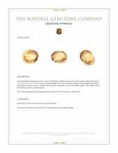 4.60 Ct. Hessonite Garnet from United States Appraisal