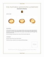 6.34 Ct. Hessonite Garnet from India Appraisal