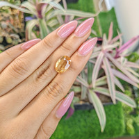 6.02 Ct. Hessonite Garnet from United States Life Style