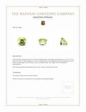 0.78 Ct. Tourmaline from Mozambique Appraisal