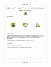 0.78 Ct. Tourmaline from Mozambique Appraisal