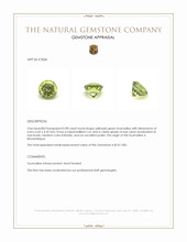0.98 Ct. Yellowish Green Tourmaline from Mozambique Appraisal