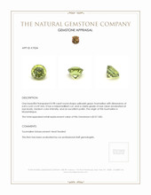 0.98 Ct. Tourmaline from Mozambique Appraisal
