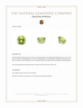 1.04 Ct. Green Tourmaline from Mozambique Appraisal